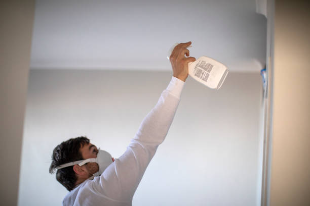 Best Residential Mold Remediation in West Hattiesburg, MS