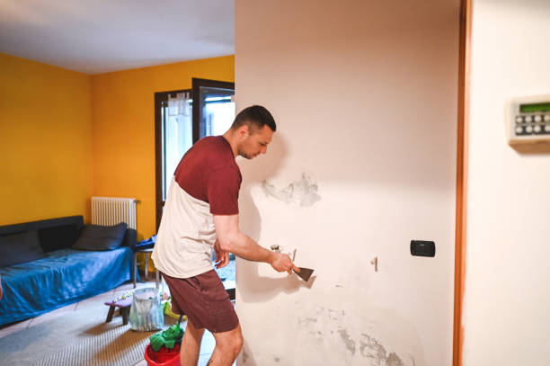 Best HVAC Mold Remediation in West Hattiesburg, MS